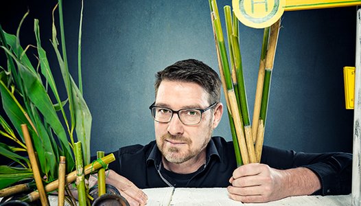 Bild Künstler