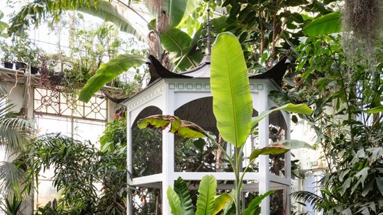 Große grüne Blätter, Palmen und Farnpflanzen umgeben eine weiße, pavillonartige Vogelvoliere mit dunklem Dach in der Mitte. Tageslicht fällt durch das Glasdach des Gewächshauses. 