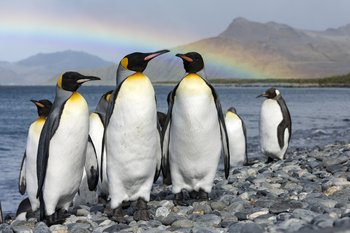 Das Tor zur Antarktis