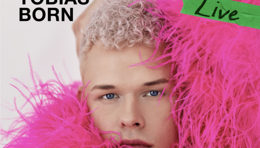 Bild Künstler