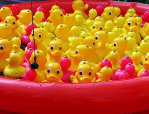 [Bild Veranstaltung]